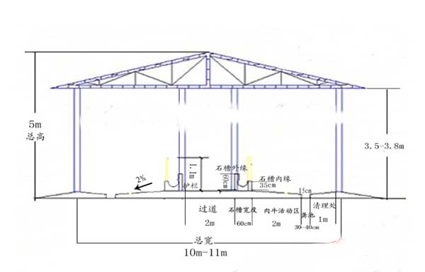 肉牛養(yǎng)殖場建設(shè)方案