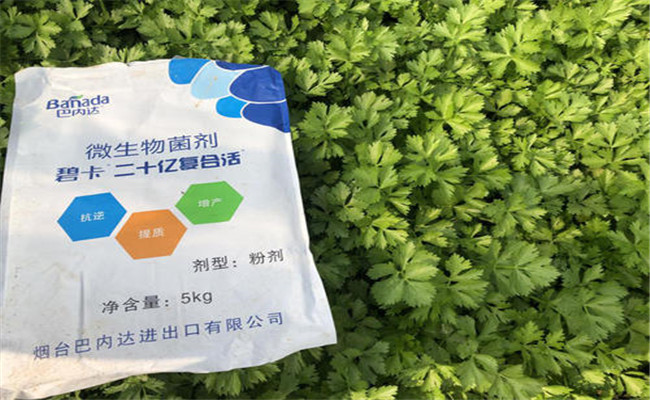 微生物菌劑使用方法