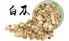 白及的產(chǎn)地是哪里？白及的用法、用量與禁忌