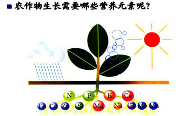 農作物生長的必須營養(yǎng)元素有哪些