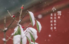 小雪節(jié)氣是什么意思，小雪節(jié)氣吃什么食品？