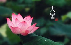 大暑是幾月幾日，大暑的節(jié)日民俗的哪些？