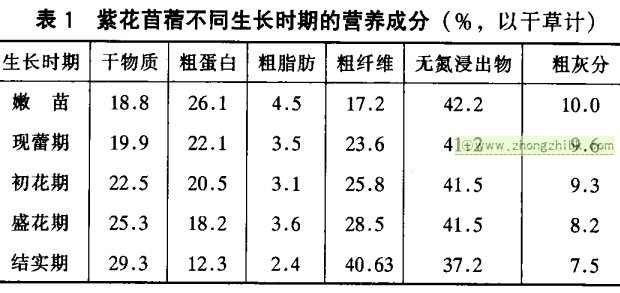 紫花苜蓿的營養(yǎng)價值