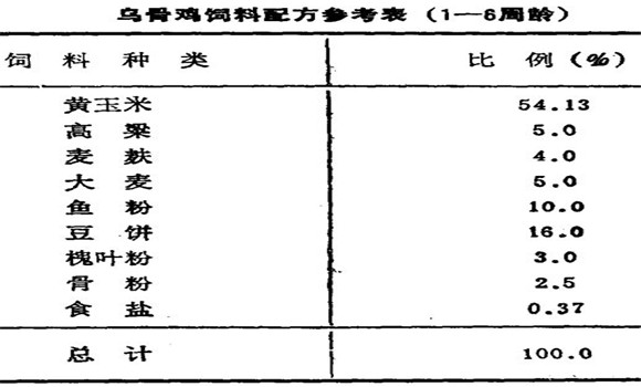 烏骨雞的飼養(yǎng)技術