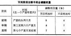 如何增加烏骨雞鈣的供應量