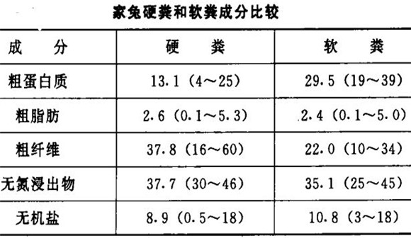 家兔的食糞行為