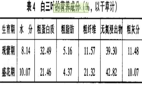 白三葉經(jīng)濟價值及利用