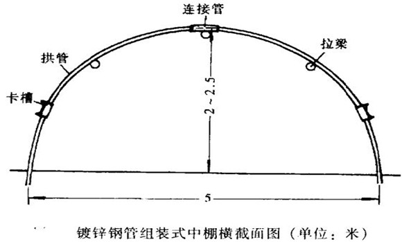 塑料中棚加外覆蓋能明顯使蔬菜早熟，效益高