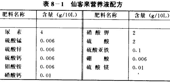 仙客來(lái)