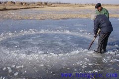 越冬魚池的水體環(huán)境是怎樣的？