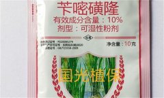 芐嘧磺隆的作用機(jī)制、使用方法與注意事項(xiàng)