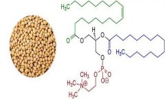 大豆異黃酮對(duì)人體有什么好處 什么食物含量多？