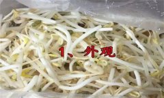 如何挑選豆芽？有根豆芽與無根豆芽有什么區(qū)別