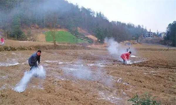 土壤酸化的處理